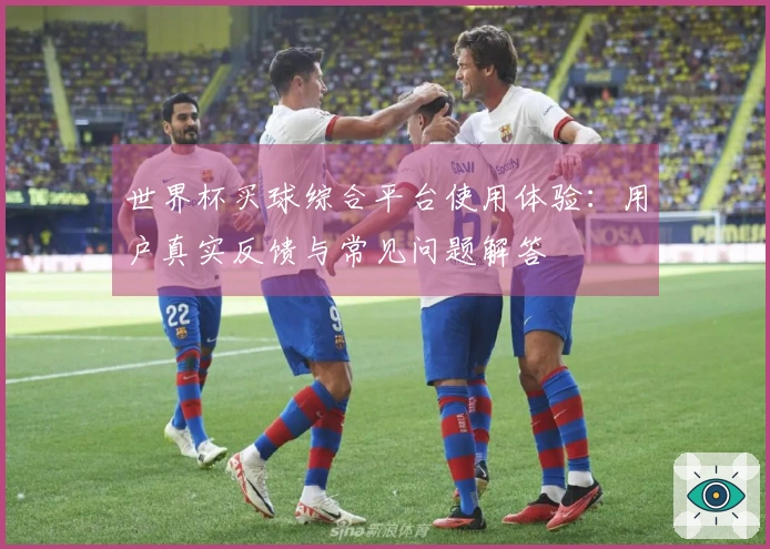 世界杯买球综合平台使用体验：用户真实反馈与常见问题解答