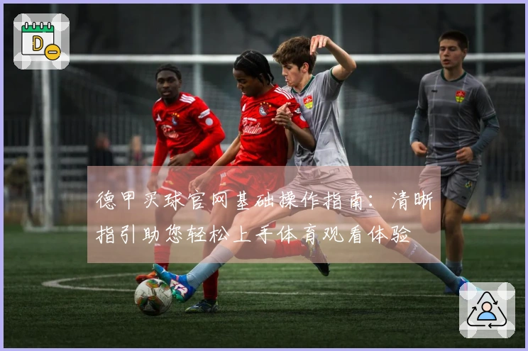 德甲买球官网基础操作指南：清晰指引助您轻松上手体育观看体验