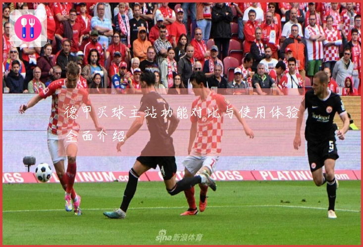 德甲买球主站功能对比与使用体验全面介绍
